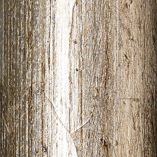 Silver Leaf